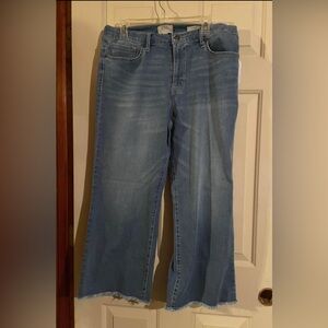 Stylish Light Blue Flare Jeans